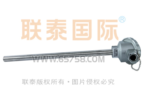 WRN2-120/WRN2-130 装配式双支热电偶 