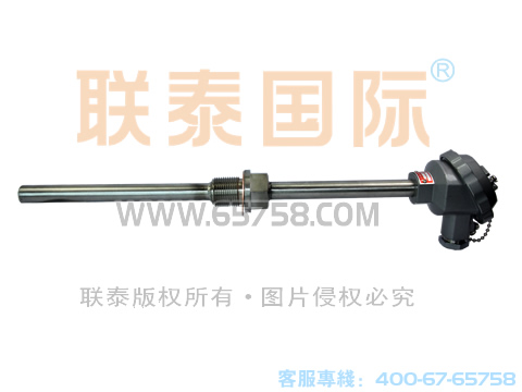 WRNN2-230/WRNN2-220 装配式双支耐磨热电偶 